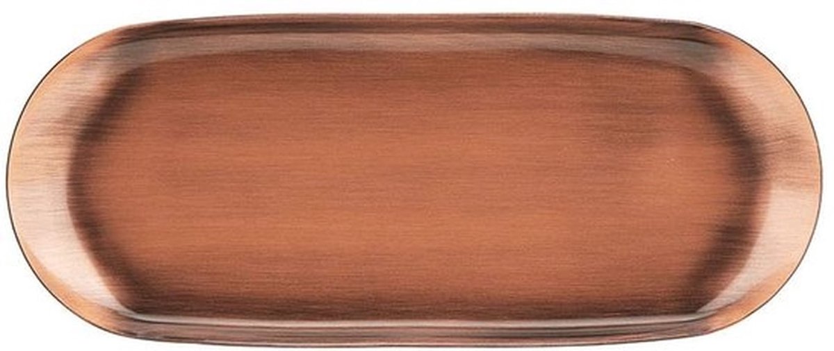 Opbergbak Roestvrij Staal - Gladde Lijnen - Bureau Organizer - Multifunctioneel - 23x9,4 Cm - Duurzaam Design - Dienblad