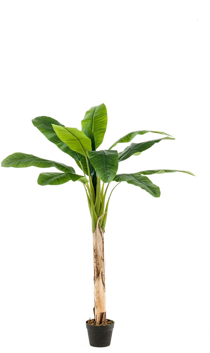 Emerald Kunstboom Bananenboom 150cm - Kunstplant voor binnen Groen