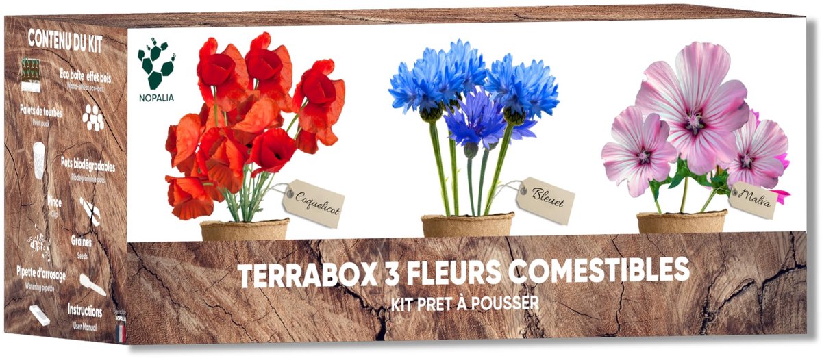 Elzusha - Set Eetbare Bloemen met Zaden voor Binnen en Buiten, Ideaal voor Tuinieren