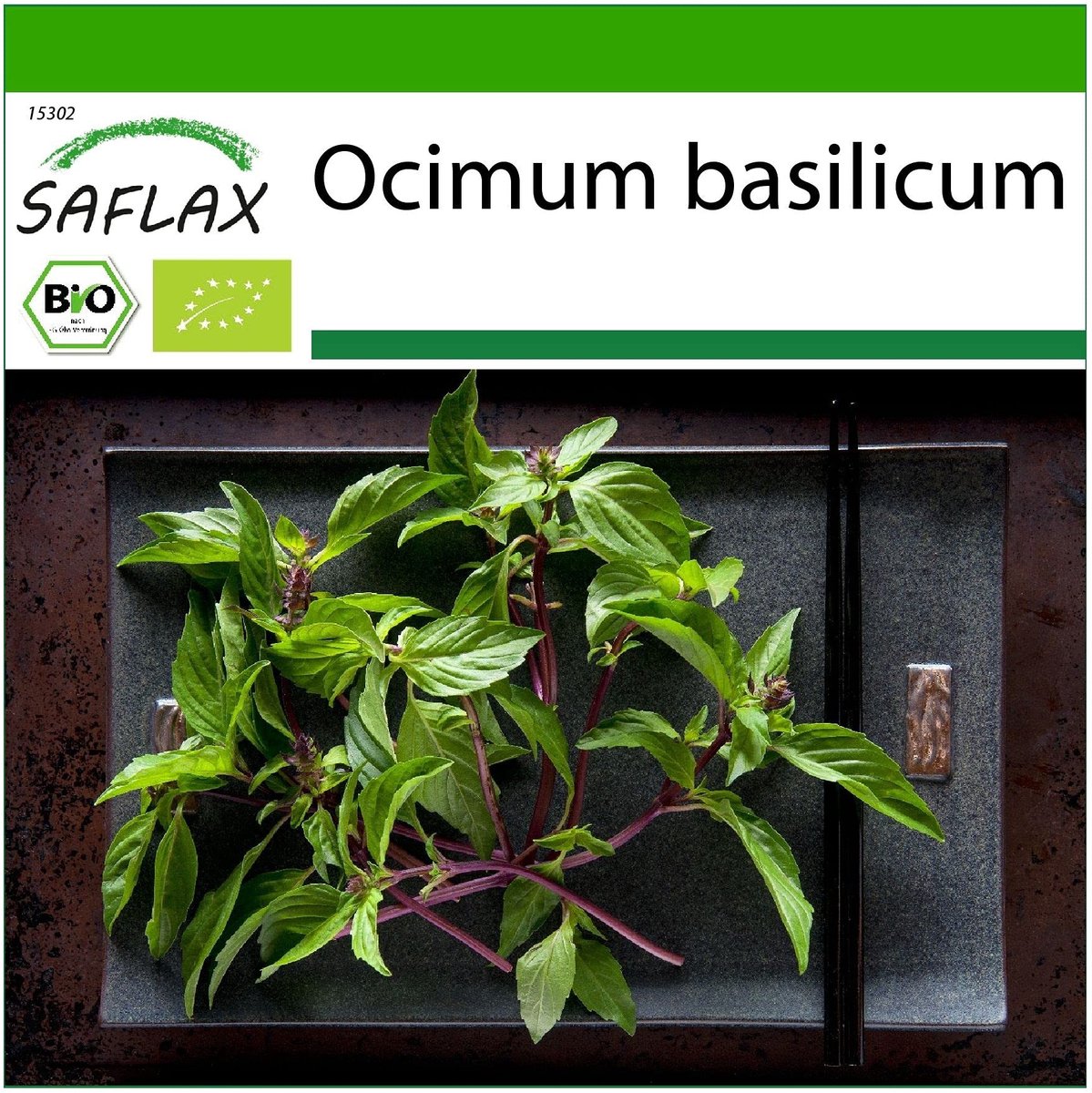 Elzusha - Biologische Thaise Basilicum - 250 Zaden met Potgrond