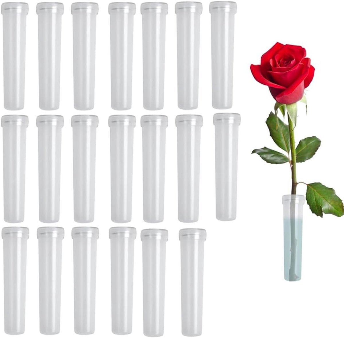 Set van 20 Bloemtubes met Doppen, Herbruikbaar en Duurzaam, Ideaal voor Bloemisten, Restaurants en Cafés