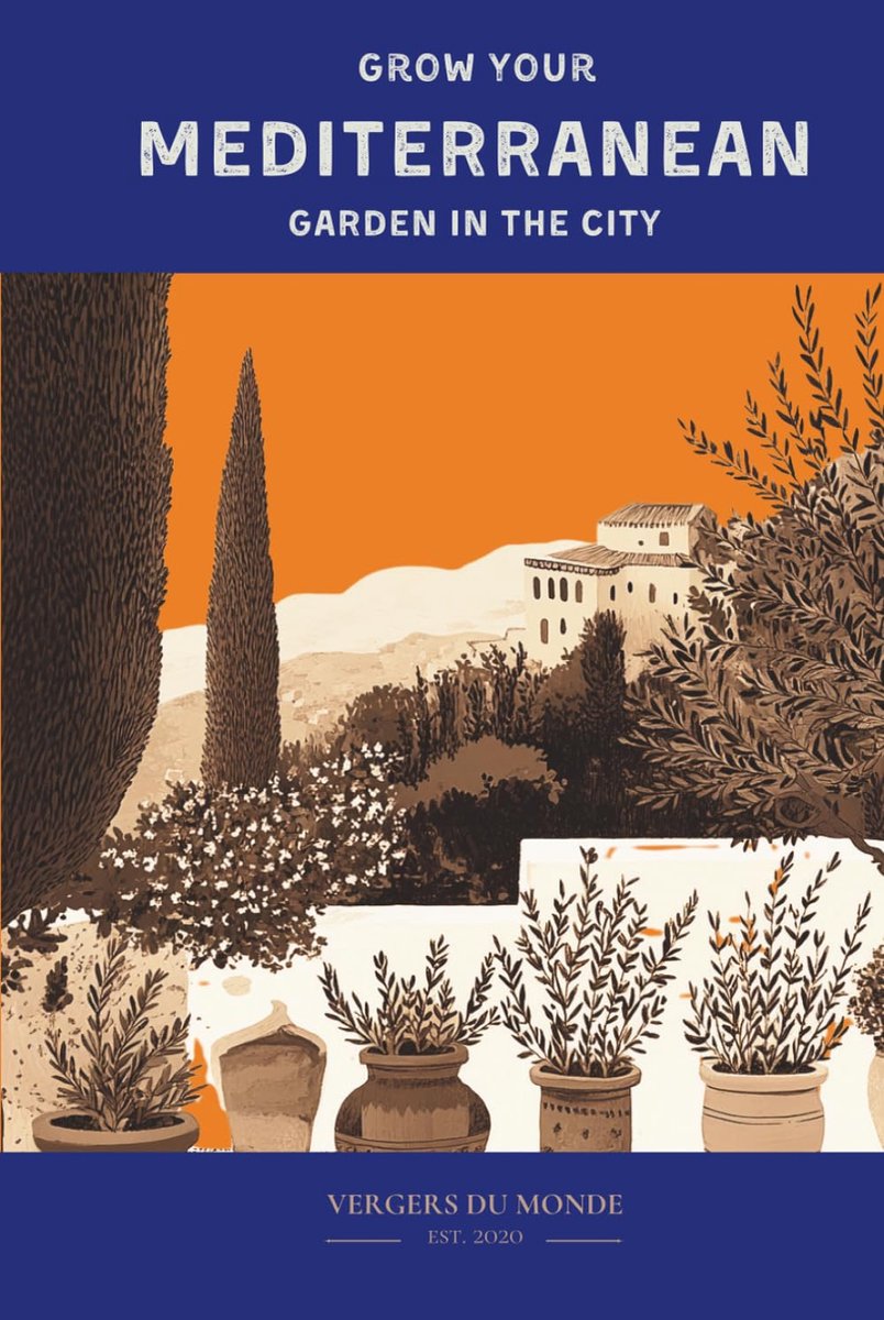 Grow Your Mediterranean Garden In The City: Ancestral wisdom of the seas - ShopVlot