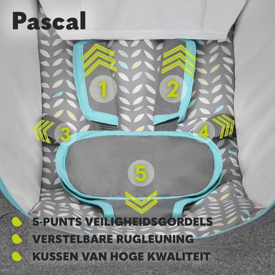 Baby Wipstoel en Schommel - Rugleuning Verstelbaar in 4 Posities - Melodieën en Trilfunctie - Speelboog - 5-Punts Veiligheidsgordel — afbeelding 5