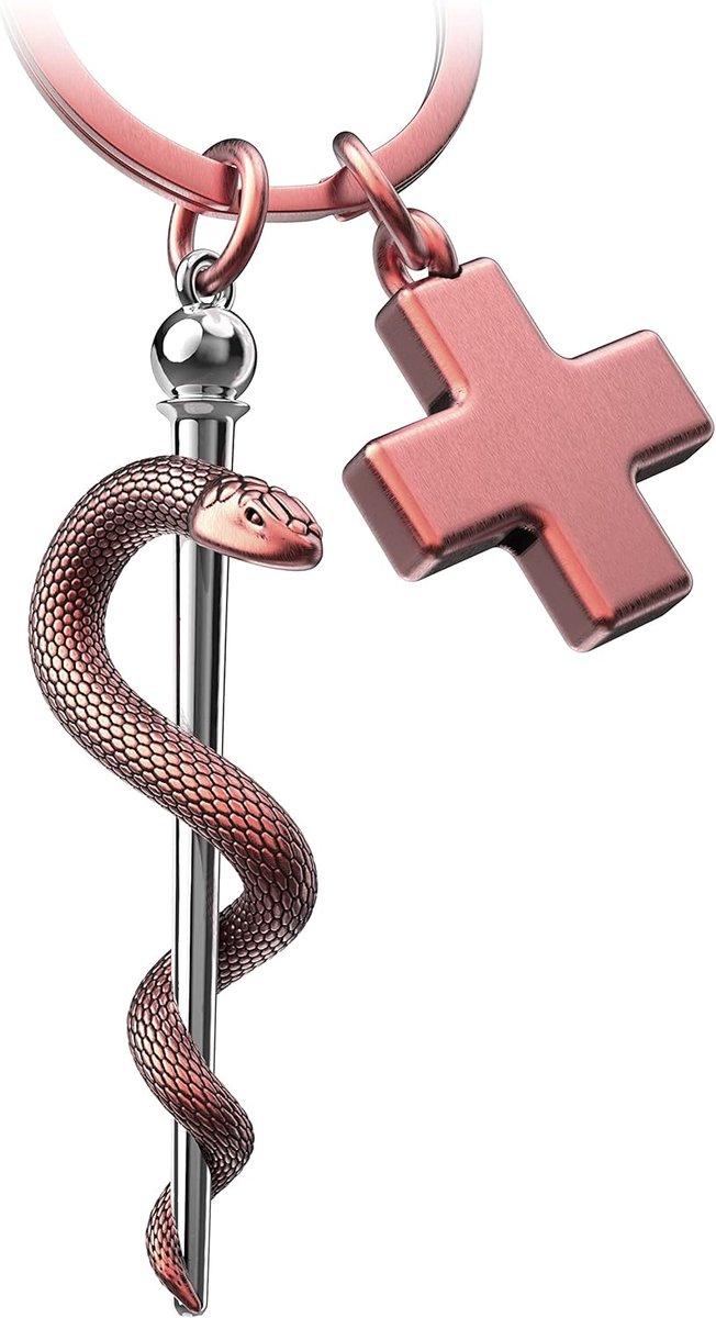 Escullapstaaf sleutelhanger met medisch kruis - verpleegster geschenken verpleegkundigen geschenken artsen sleutelhanger verpleegster ouderenverpleger cadeau geneeskunde student