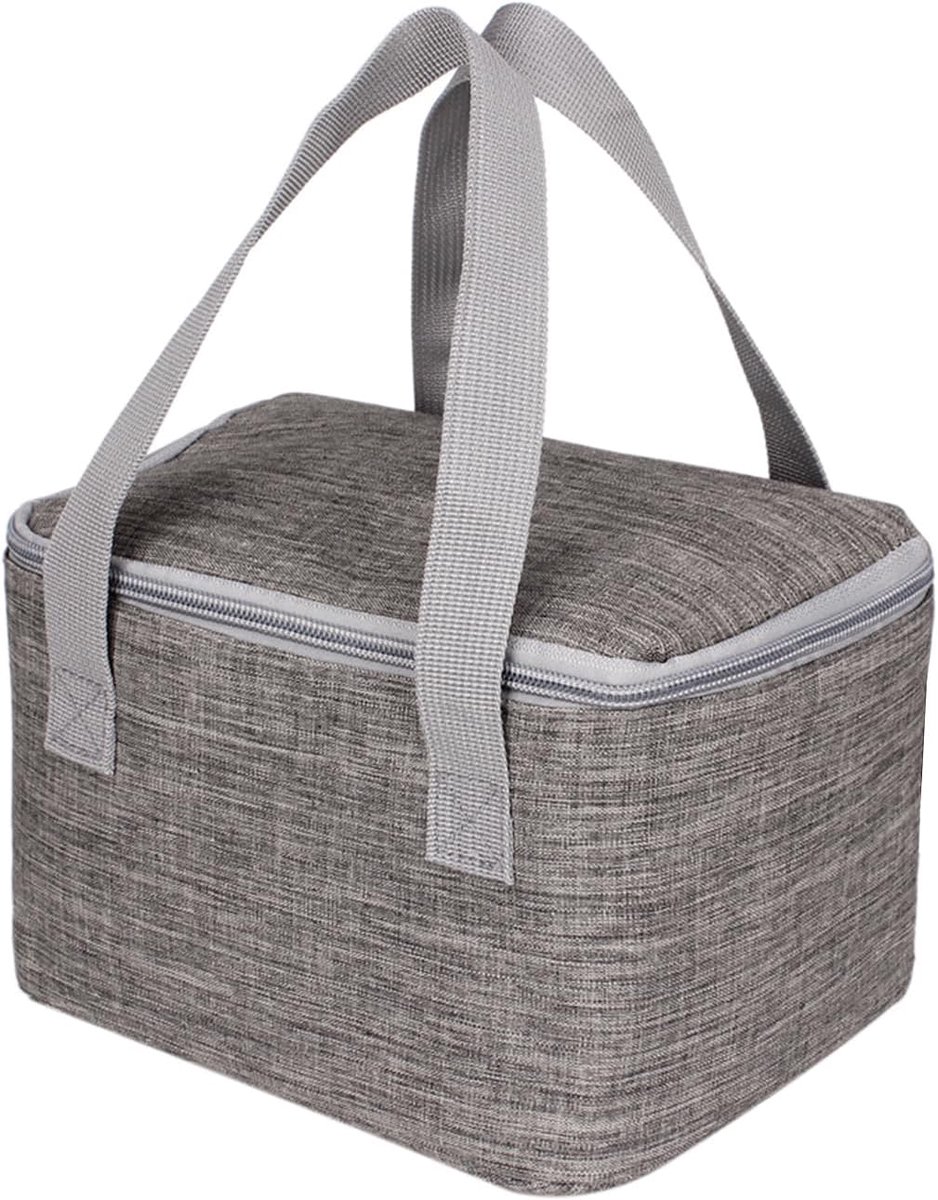 Kleine koeltas, 4 liter, mini-lunchtas met geïsoleerde aluminiumfolie, thermotas voor mannen, vrouwen, kinderen, school, kantoor, picknick