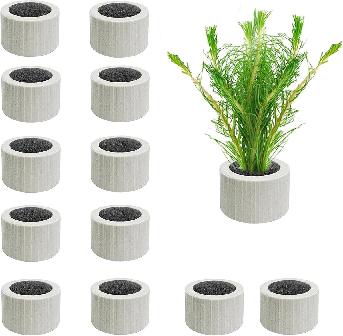 12 stuks waterplanten vaste ring, aquarium keramische ringen plantengewichten aquarium ring vis tank keramische houder plant zwaartekracht ring met plantenkatoen, 4,5 cm