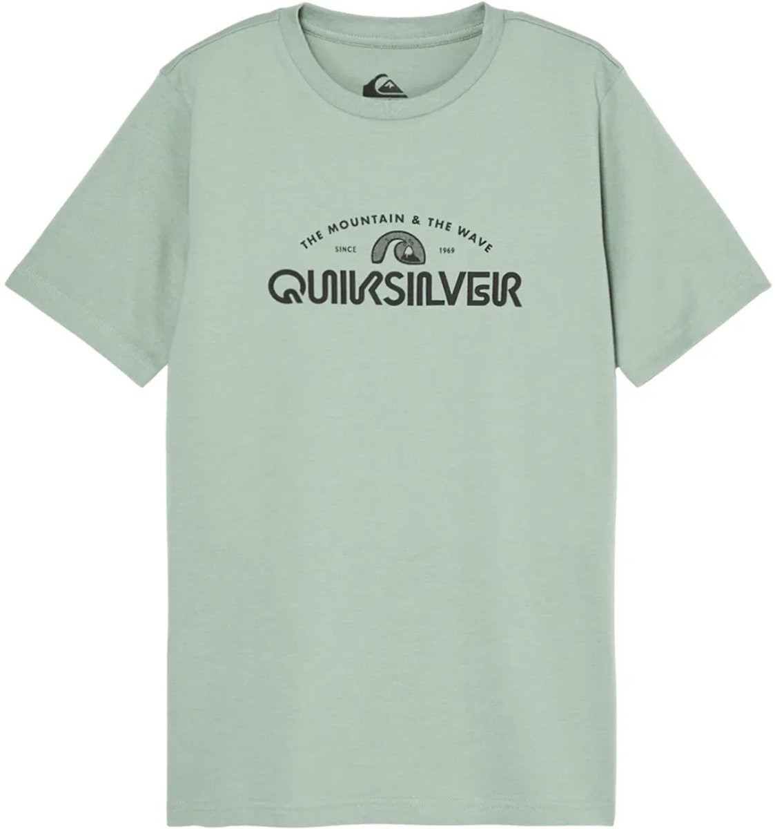 Quiksilver Evo Vista Logo T-shirt Met Korte Mouwen 14 Years Jongen Groen