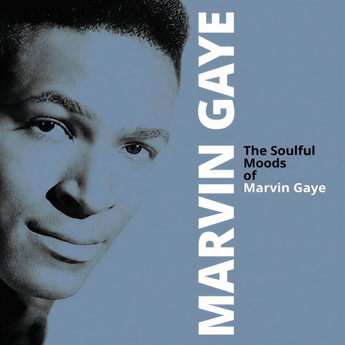 Marvin Gaye - The Soulful Moods Of Marvin Gaye (LP)