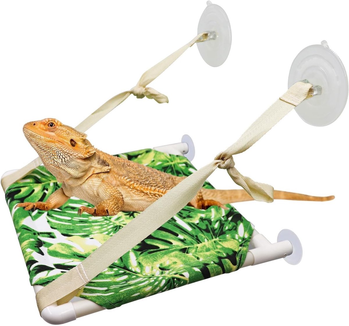 Raamzitplaats voor Hagedissen, Reptielenbed voor Bearded Dragons, Hangmat voor Reptielen, Geschikt voor Hagedissen, Chameleons, Kittens en Cavia's - 12 x 15.2 Inch