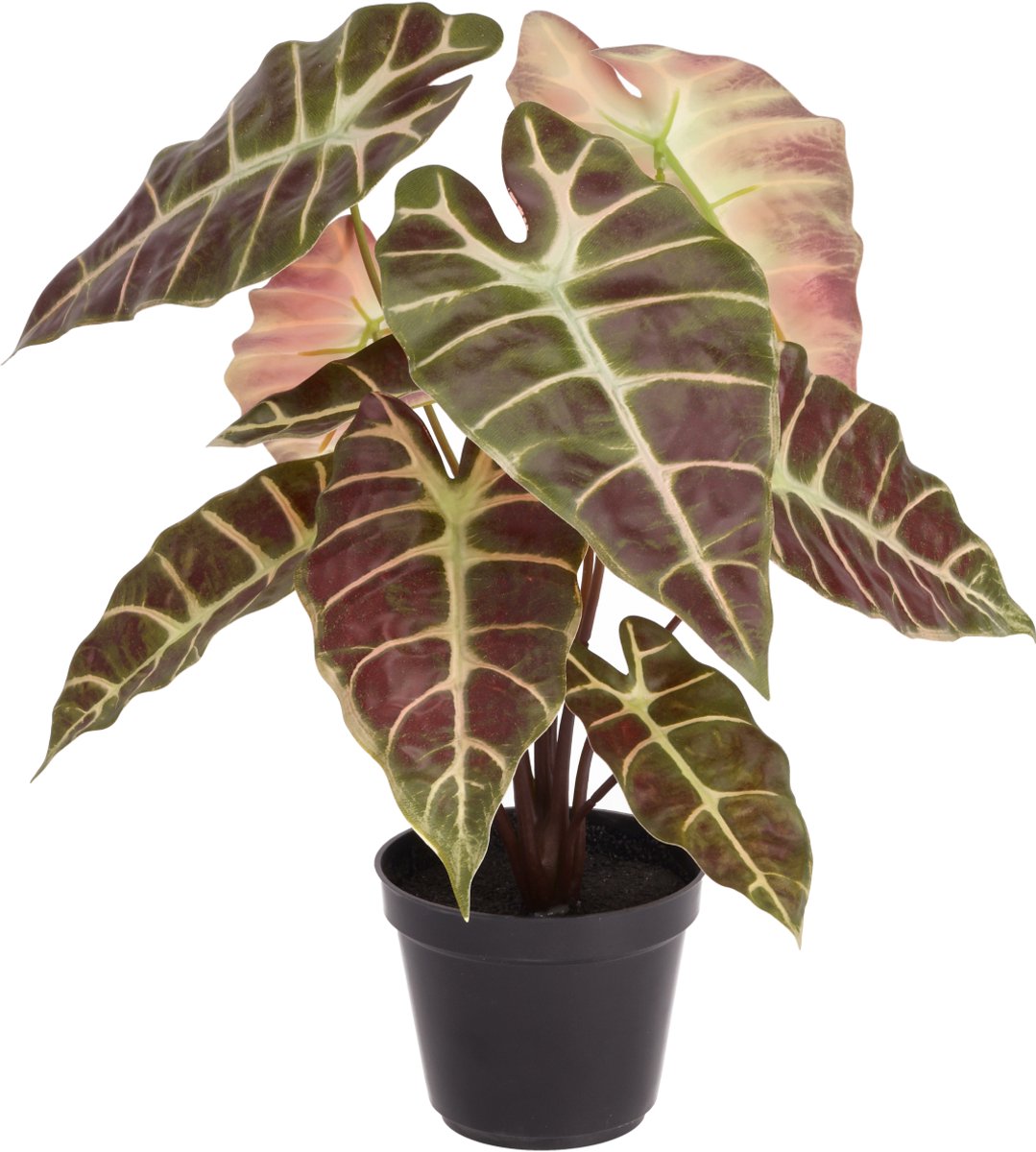 Alocasia kunstplant 40cm Burgundy in kweekpot