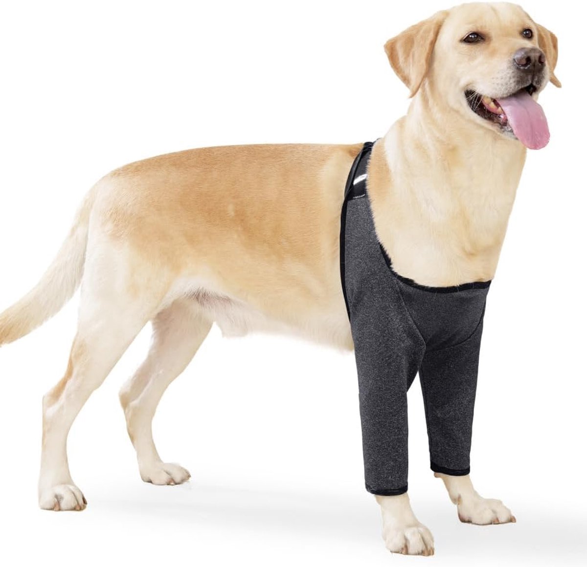 elleboogsteun voor honden, herstelhoes na een operatie aan de
