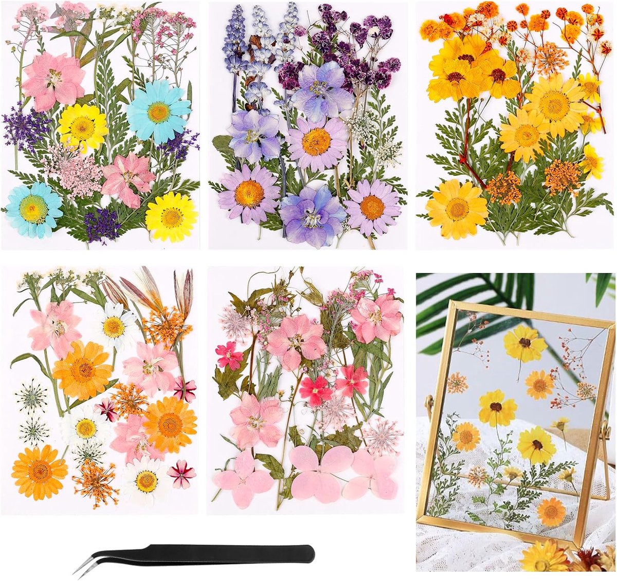 SnelShoppen - 96 Gedroogde Bloemen voor Decoraties, Natuurlijke Geperste Bloemen in Diverse Kleuren en Stijlen, Perfect voor DIY Kaarsen, Gastgeschenk