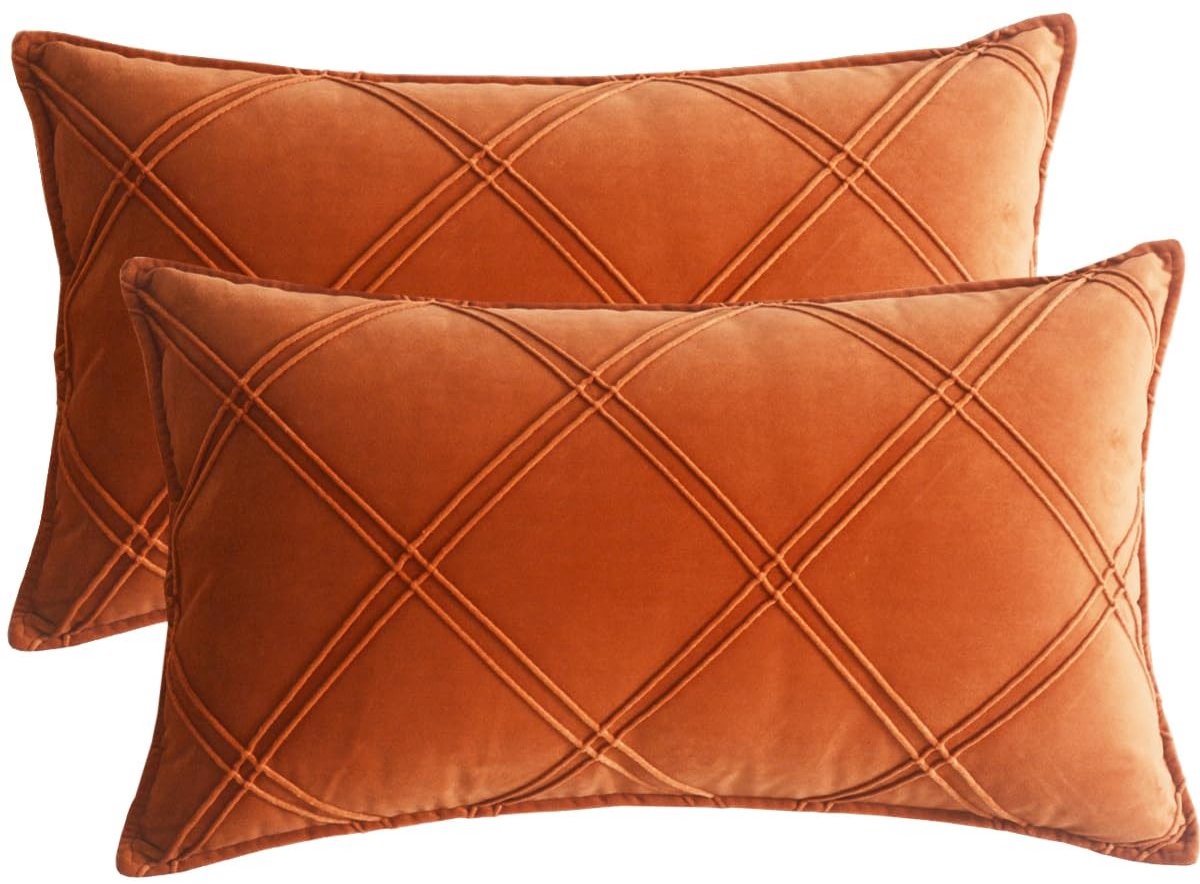 Omgoods - Set van 2 Oranje Velvet Kussenhoezen - Elegant voor Sofa en Bed 30 x 50 cm