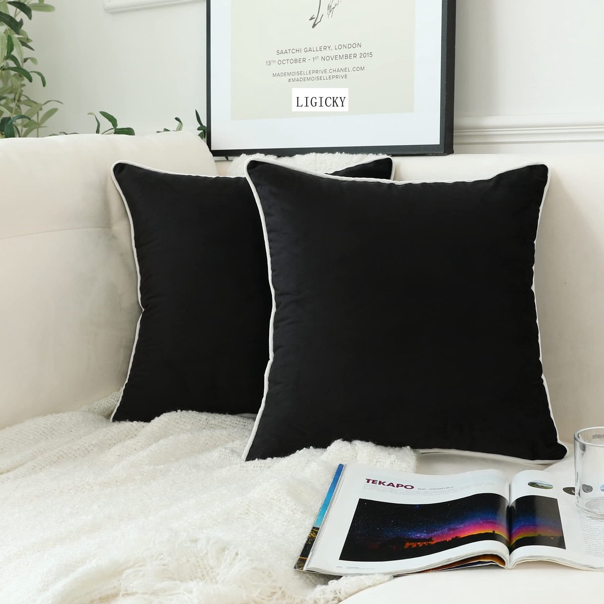 Omgoods - Set van 2 Luxe Decoratieve Kussenslopen - Zachte Velvet Kussenhoezen voor Woonkamer en Slaapkamer - Zwart 65x65 cm