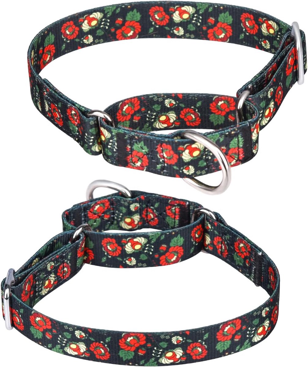 Duty Nylon Verstelbaar Martingale Hondenhalsband voor Wandeltraining Jongens- en Meisjeshonden (M:36-45CM, Marineblauw)