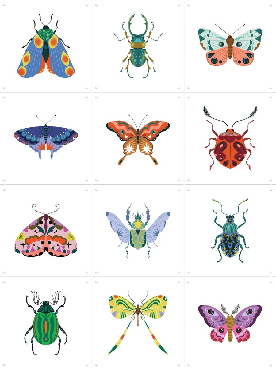 IXXI Bugs & Butterflies Collagebox, Bethan Janine - 60 x 80 cm - Gratis ophangtool - Grote wanddecoratie en posters - Digitale Kunst, Minimalisme
