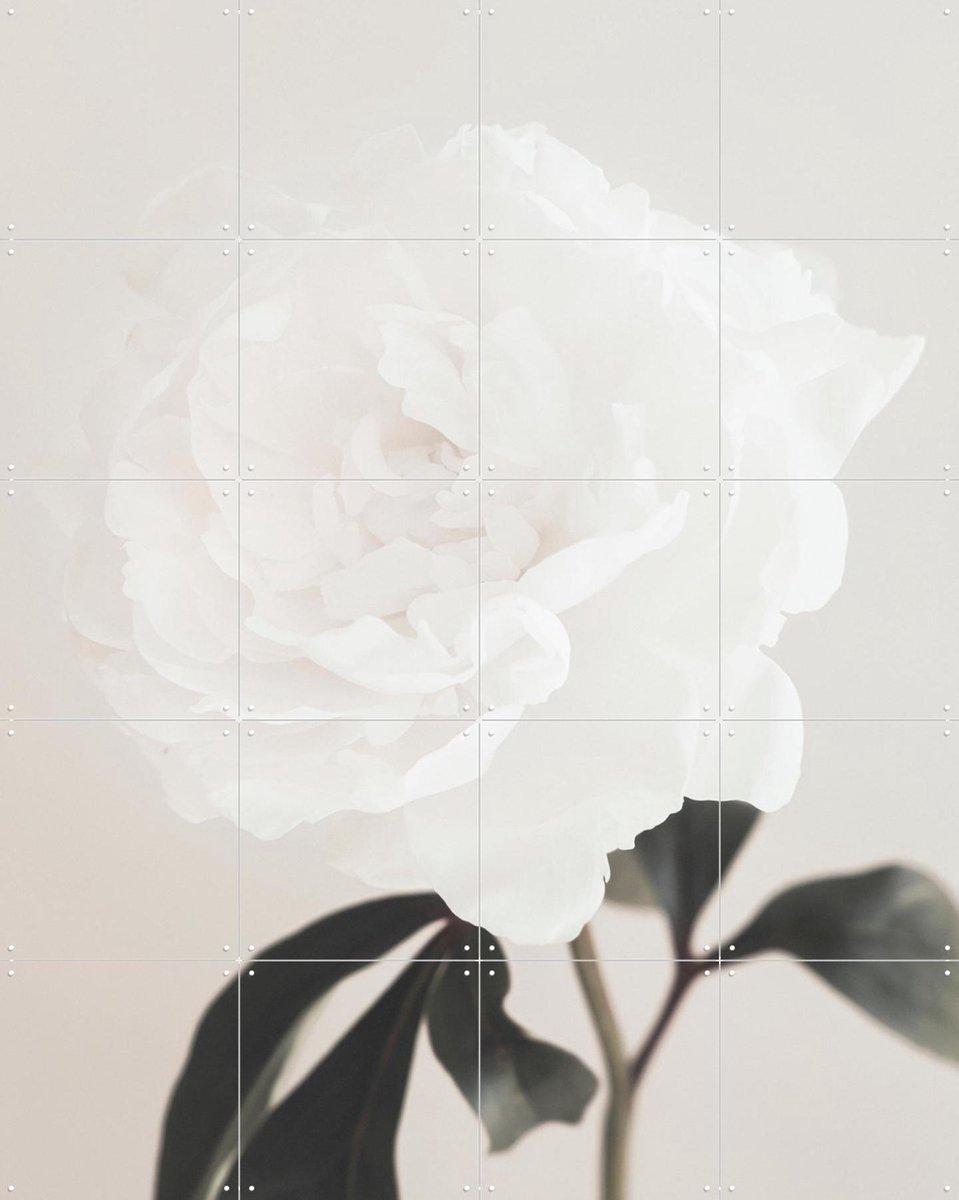 IXXI Peony 03, 1x Studio II & Various - 80 x 100 cm - Gratis ophangtool - Grote wanddecoratie en posters - Realisme, Fotografie, Minimalisme