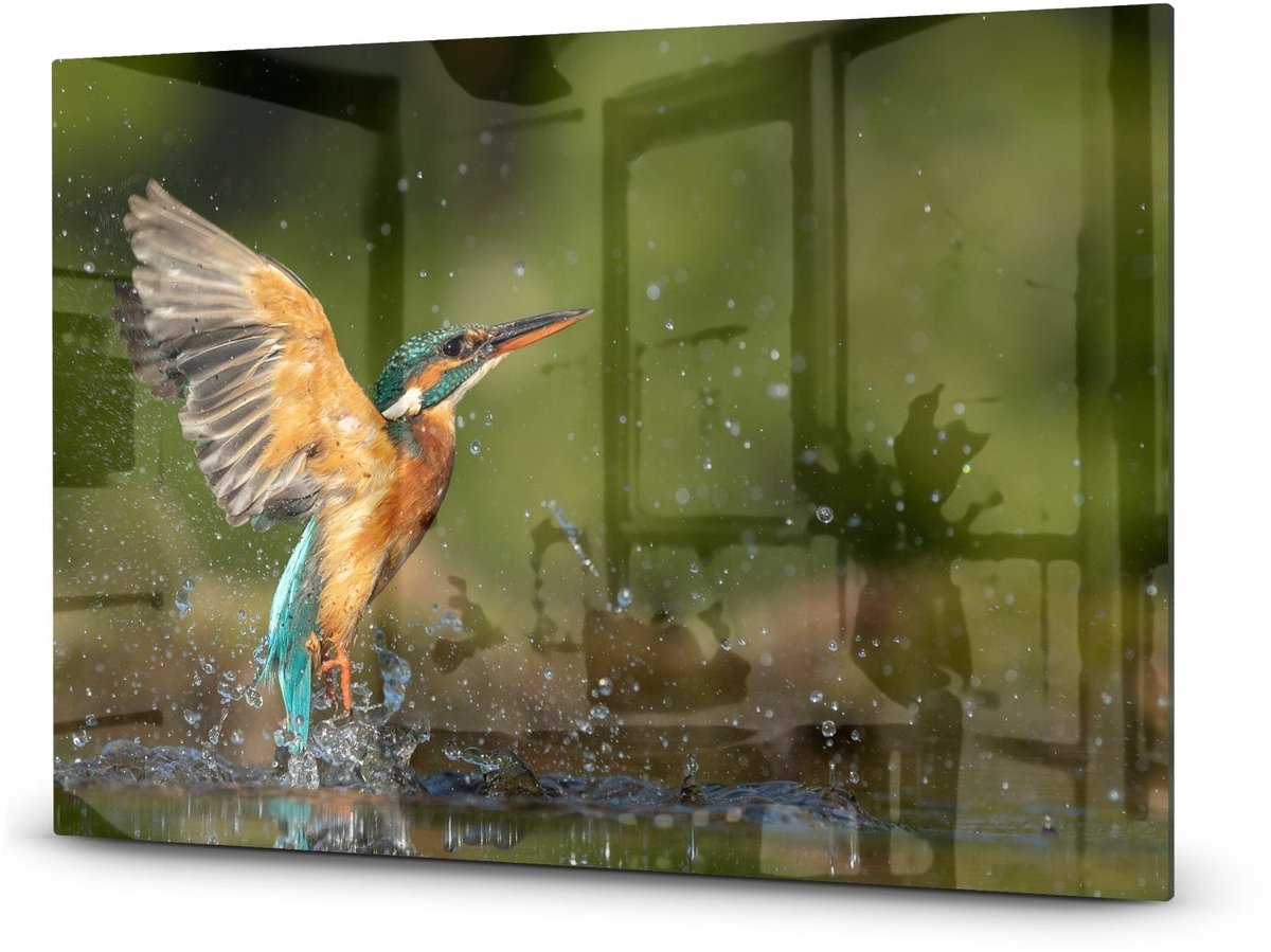 Mydesignglas Glazen Inductie Beschermer - Krasvrij Gehard Glas met Antislip - Afdekplaat voor Kookplaat - Spatscherm Achterwand Keuken - Ijsvogel - 80x52