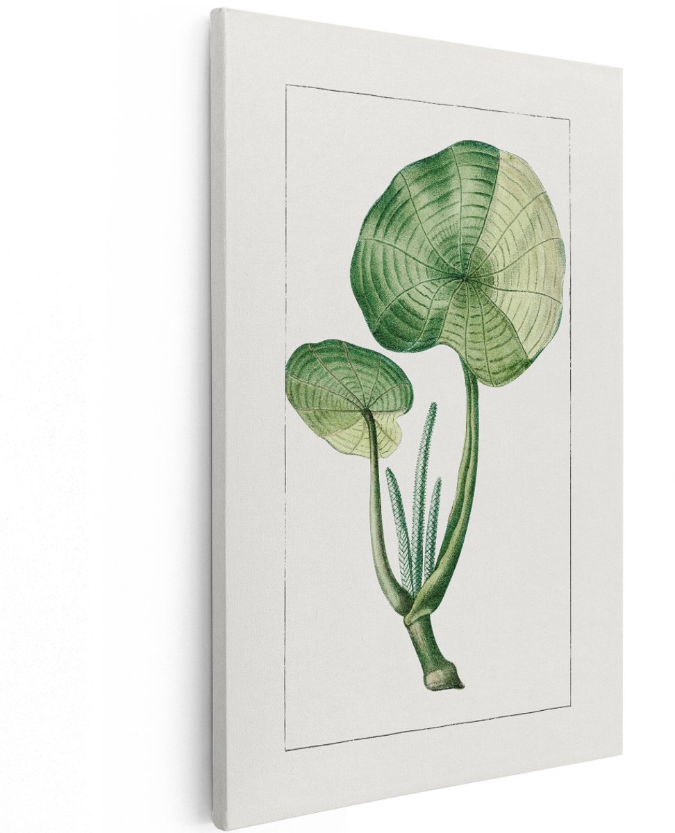 Artaza Canvas Schilderij Botanische Plant - 120x180 cm - Groot - Wanddecoratie Vintage - Muurdecoratie Groene Bladeren - Decoratie Botanisch