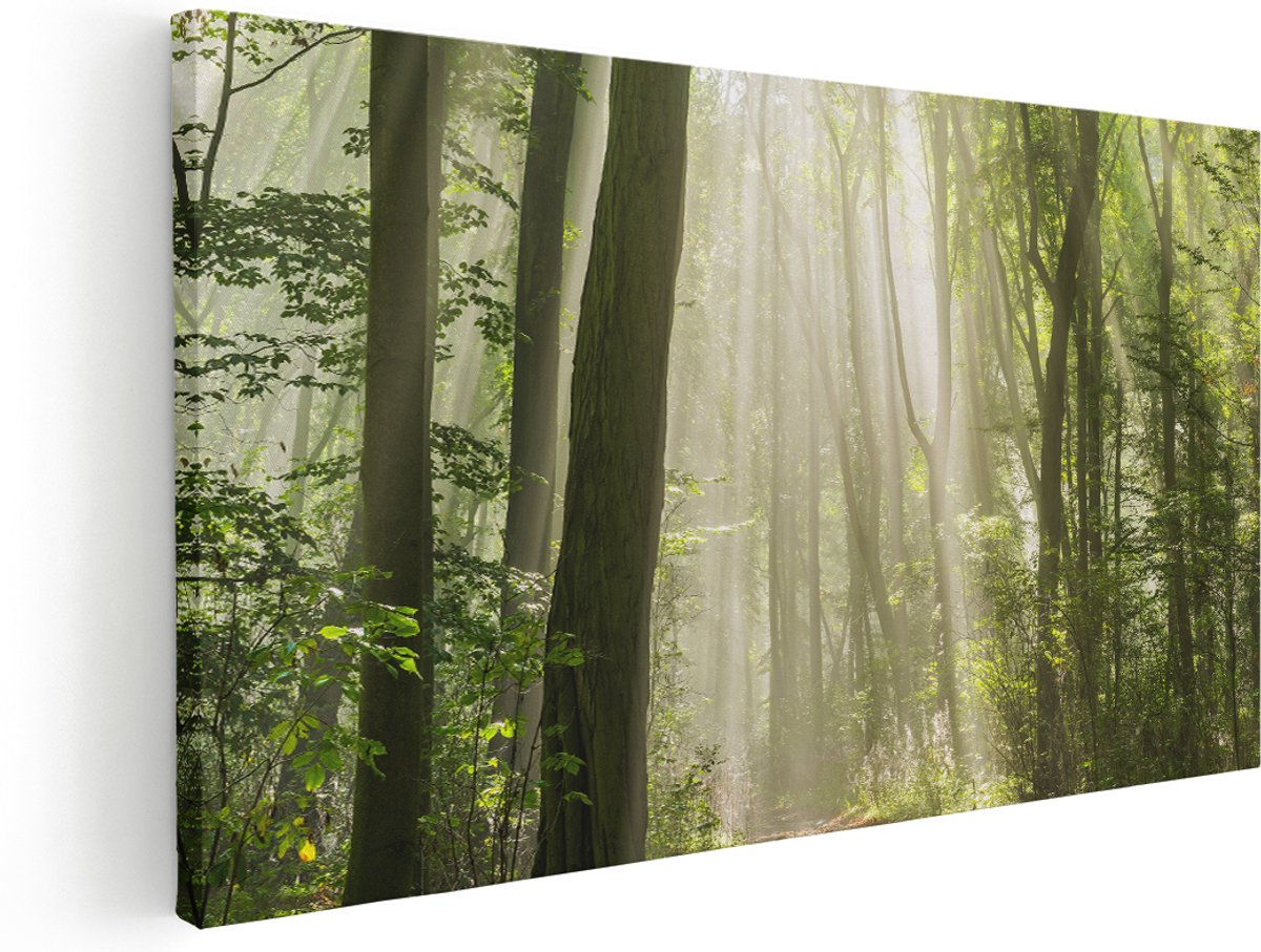 Artaza Canvas Schilderij Bos Met Bomen En Zonneschijn - 180x90 cm - Groot - Wanddecoratie Woonkamer - Schilderijen - Muurdecoratie