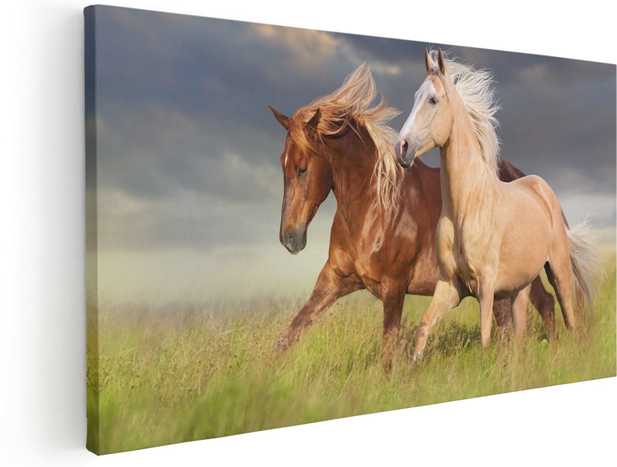 Artaza Canvas Schilderij Bruin En Wit Paard In De Wei - 180x90 cm - Groot - Wanddecoratie Woonkamer - Schilderijen - Muurdecoratie