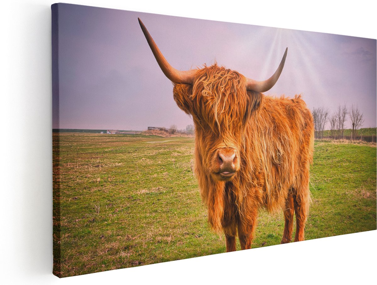 Artaza Canvas Schilderij Bruine Schotse Hooglander Koe - Kleur - 180x90 cm - Groot - Wanddecoratie Woonkamer - Schilderijen - Muurdecoratie