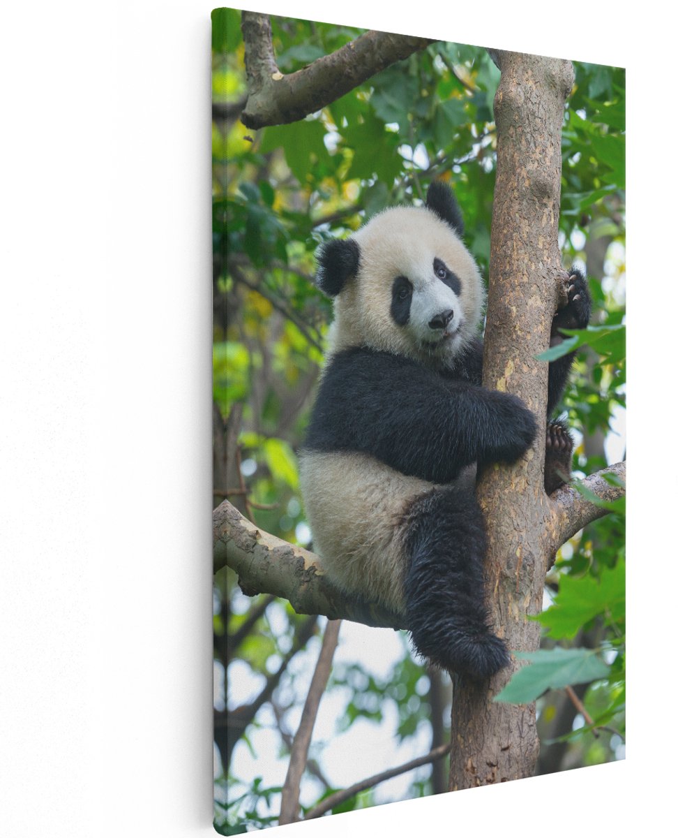 Artaza Canvas Schilderij Panda in de Bomen - 120x180 cm - Groot - Wanddecoratie Woonkamer - Schilderijen - Muurdecoratie