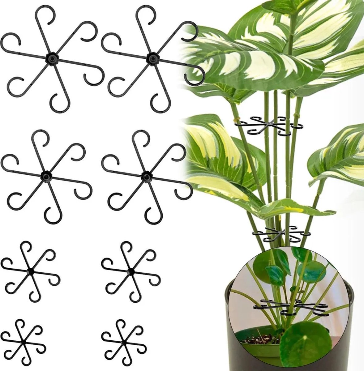Een set van 2 transparante plantenstandaards, Geschikt voor Monstera deliciosa en klimplanten, verkrijgbaar in 4 maten, stevig maar flexibel.