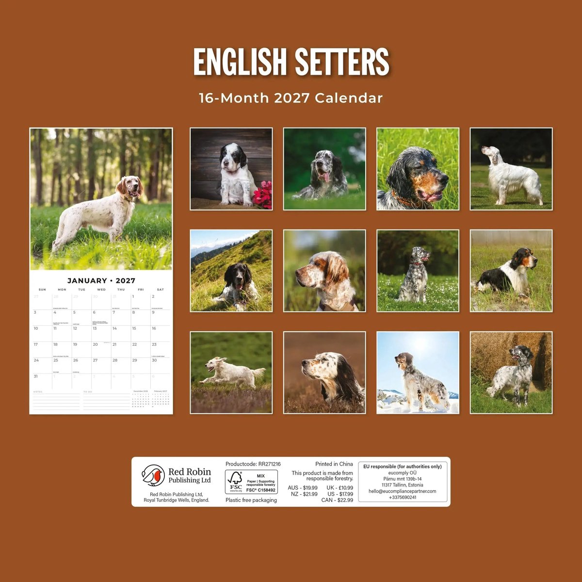 English Setter Kalender 2027