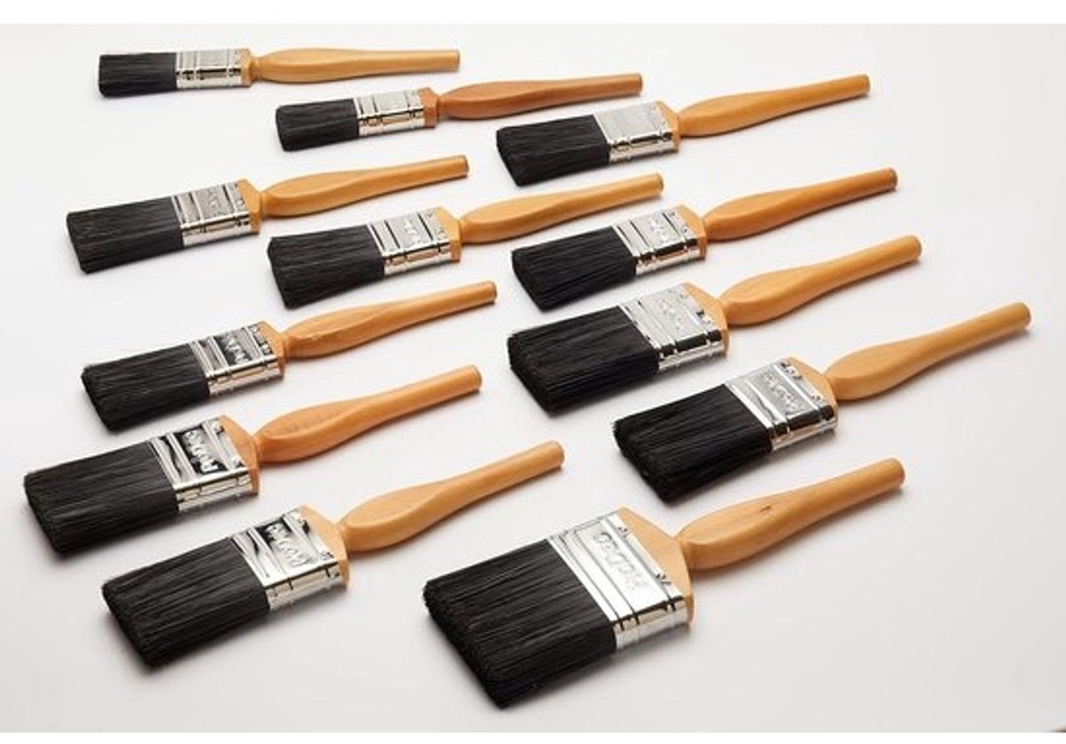 Complete 12-delige Schilderskwastenset voor Gladde Afwerking op Muren, Plafonds, Hout & Metaal