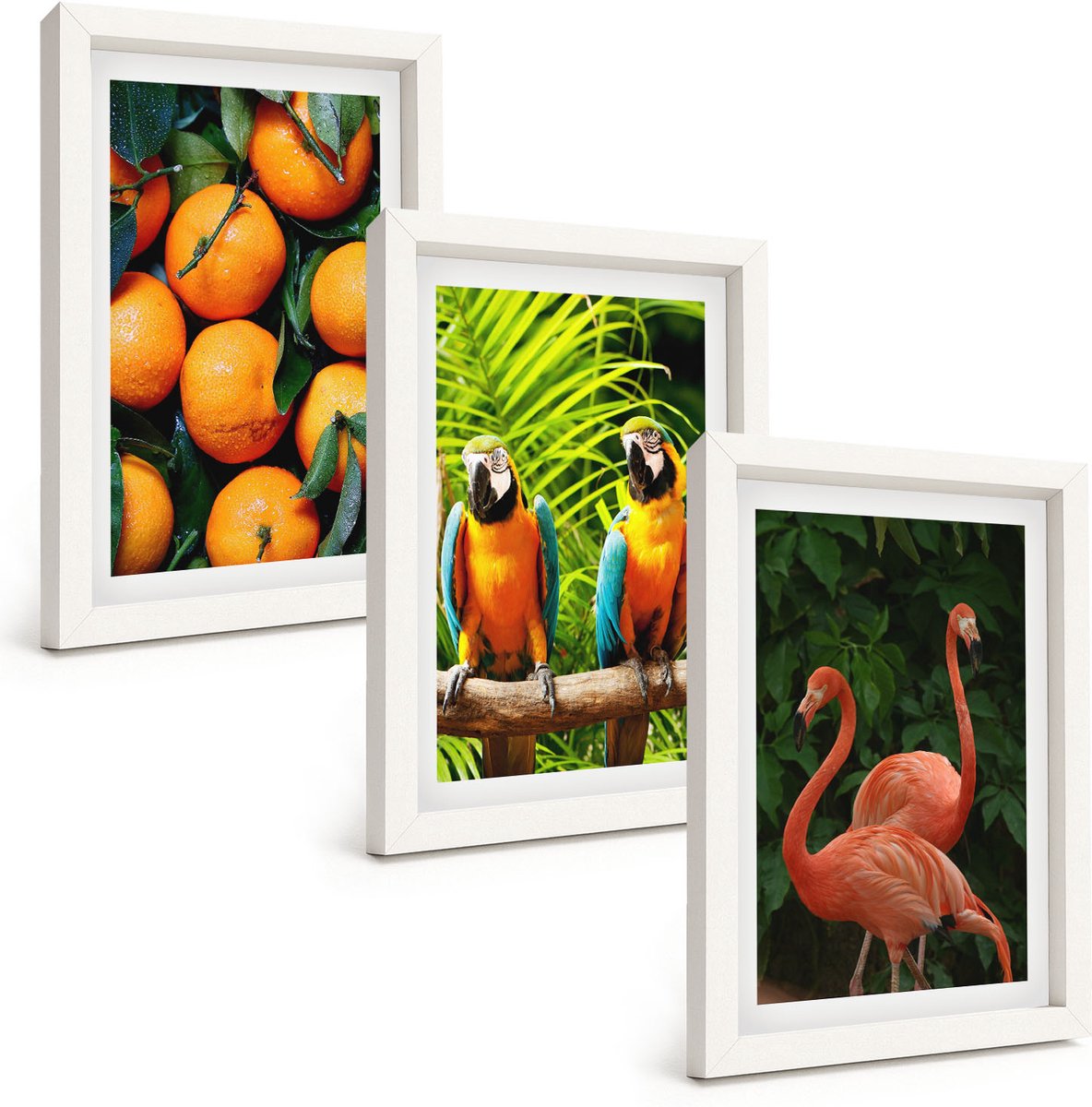 Wallfluent 3-Delige Schilderij Set - Fruitige Accenten Met Papegaaien En Flamingo'S In De Tropen - 20 x 30 - Stijlvolle Wanddecoratie - Interieur