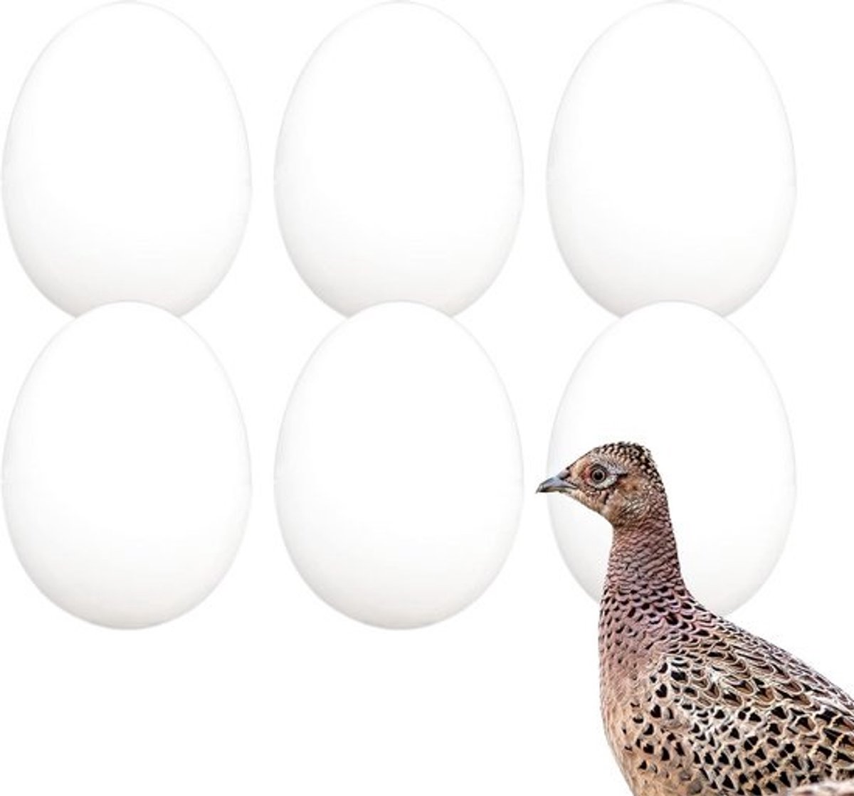 Massieve Nep Eieren voor Kippen en Vogels - Stimuleert Leggen & Voorkomt Eierpikken