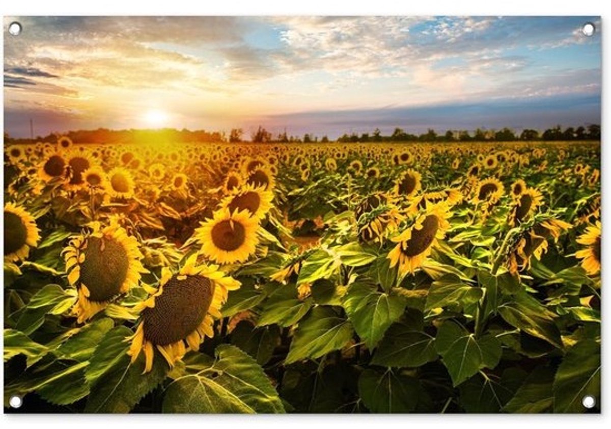 Tuinposter - Tuindoek Buiten - Buiten Decoratie - UV-bestendig Weerbestendig - 90x60 cm - Zonnebloem Lucht