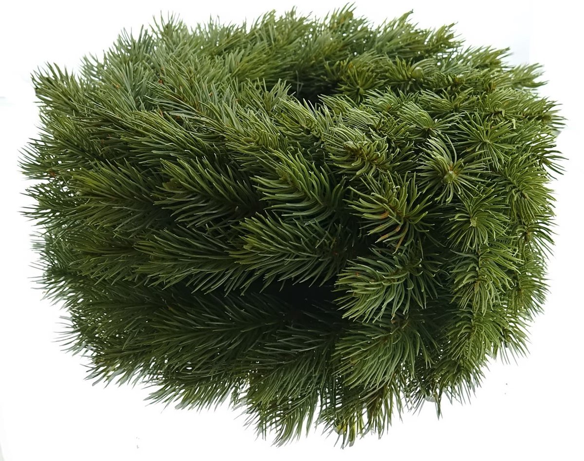Gasper Adventskrans den groen Ø 38 cm - kunstplant