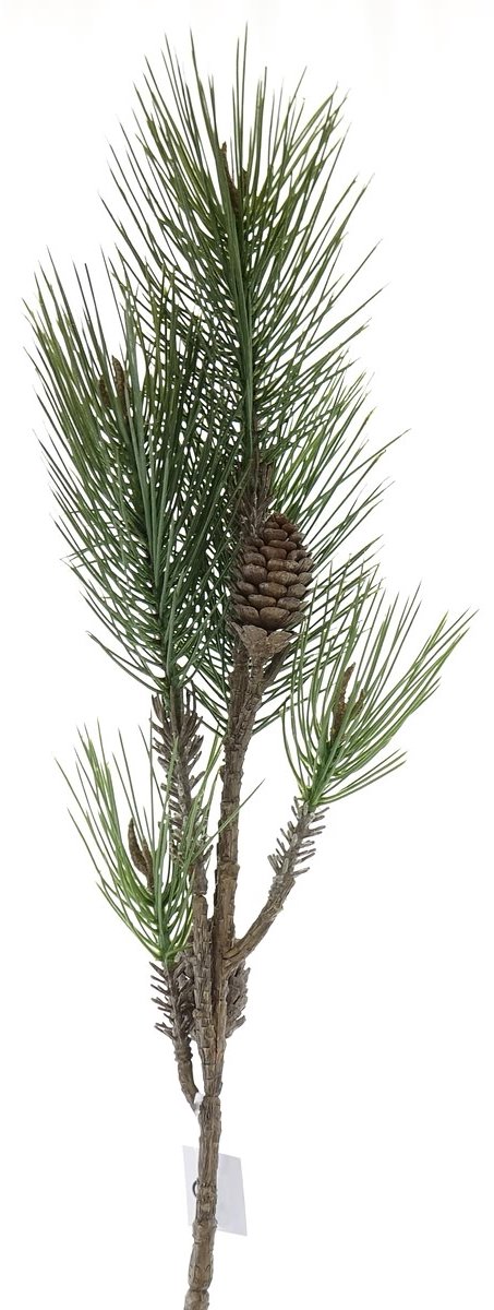 Gasper Kerstdecoratie dennentak groen met kegels 85 cm