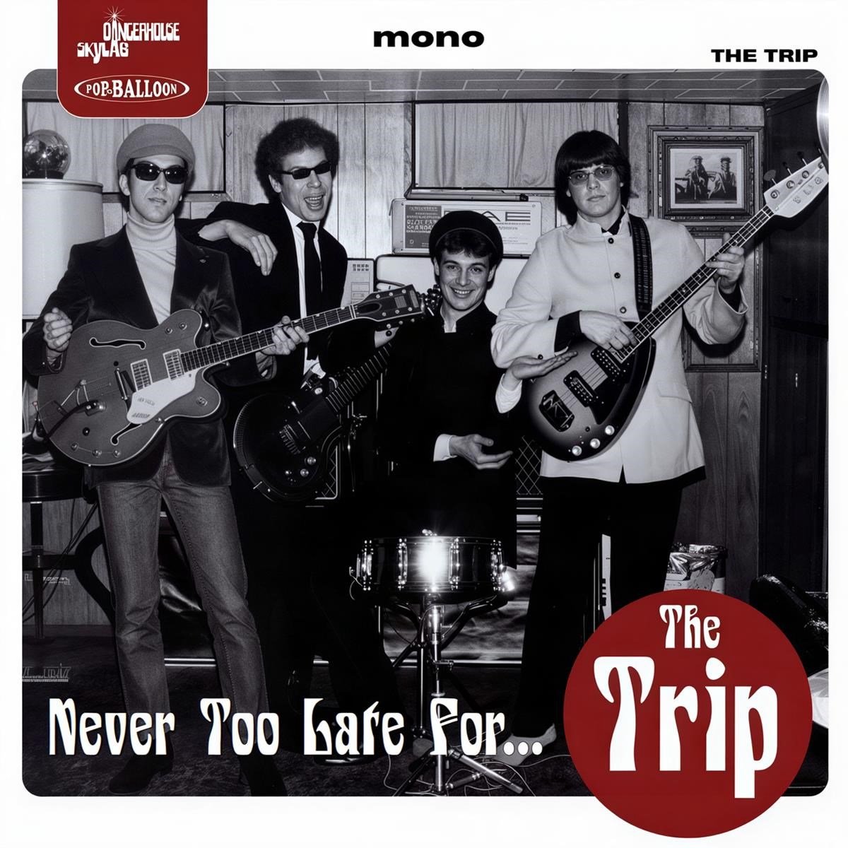 The Trip - Never Too Late For... (LP)