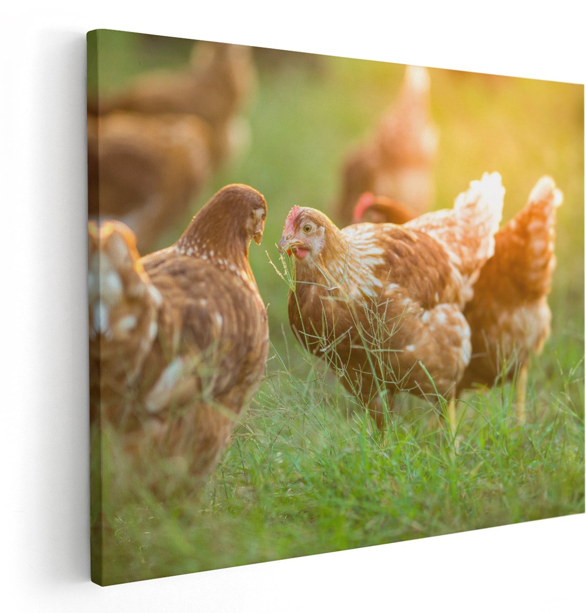 Artaza Canvas Schilderij Kippen op het Gras - 150x120 cm - Groot - Wanddecoratie Woonkamer - Schilderijen - Muurdecoratie