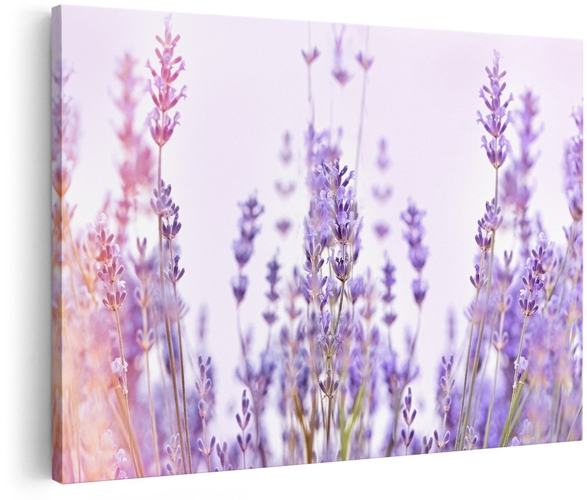 Artaza Canvas Schilderij Paarse Lavendel Bloemen - 150x100 cm - Groot - Foto Op Canvas - Wanddecoratie Woonkamer