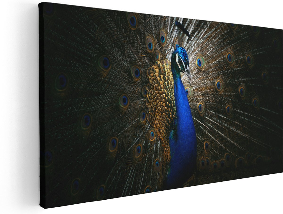 Artaza Canvas Schilderij Blauwe Pauw Met Grote Veren - 140x70 cm - Groot - Wanddecoratie Woonkamer - Schilderijen - Muurdecoratie