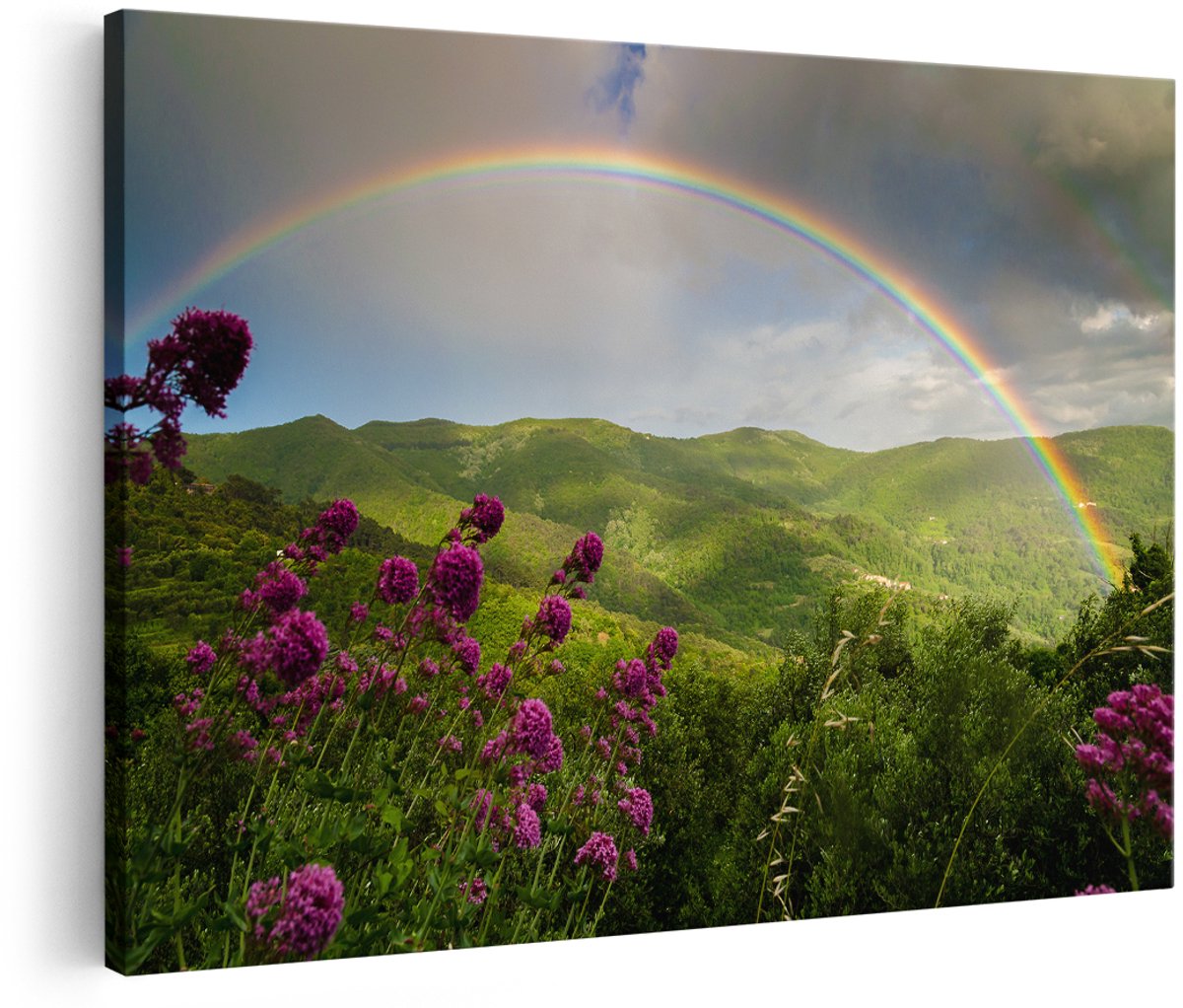 Artaza Canvas Schilderij Regenboog in de Heuvel Bossen - 150x100 cm - Groot - Foto Op Canvas - Wanddecoratie Woonkamer