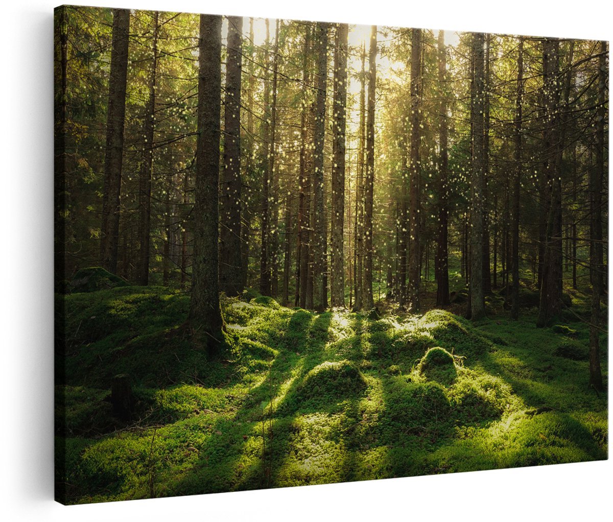 Artaza Canvas Schilderij Bos met Groen Mos op de Grond - 150x100 cm - Groot - Wanddecoratie Woonkamer - Schilderijen - Muurdecoratie