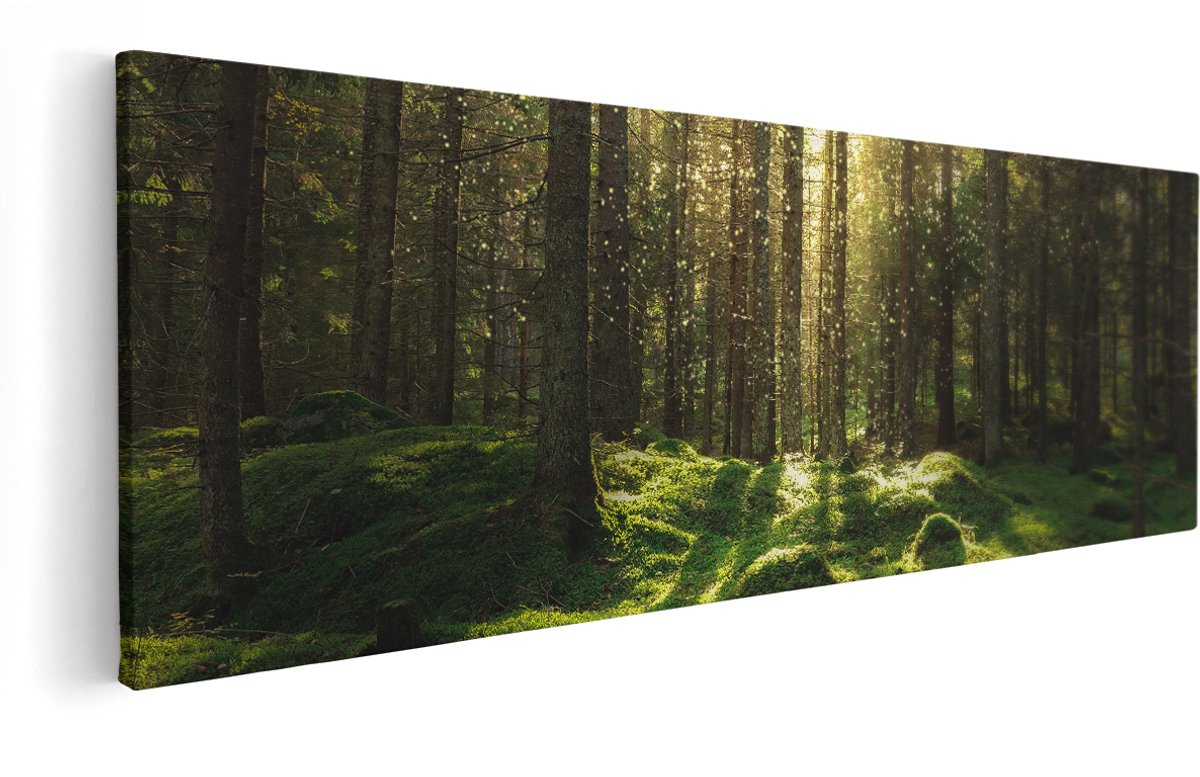 Artaza Canvas Schilderij Bos met Groen Mos op de Grond - 150x50 cm - Groot - Wanddecoratie Woonkamer - Schilderijen - Muurdecoratie