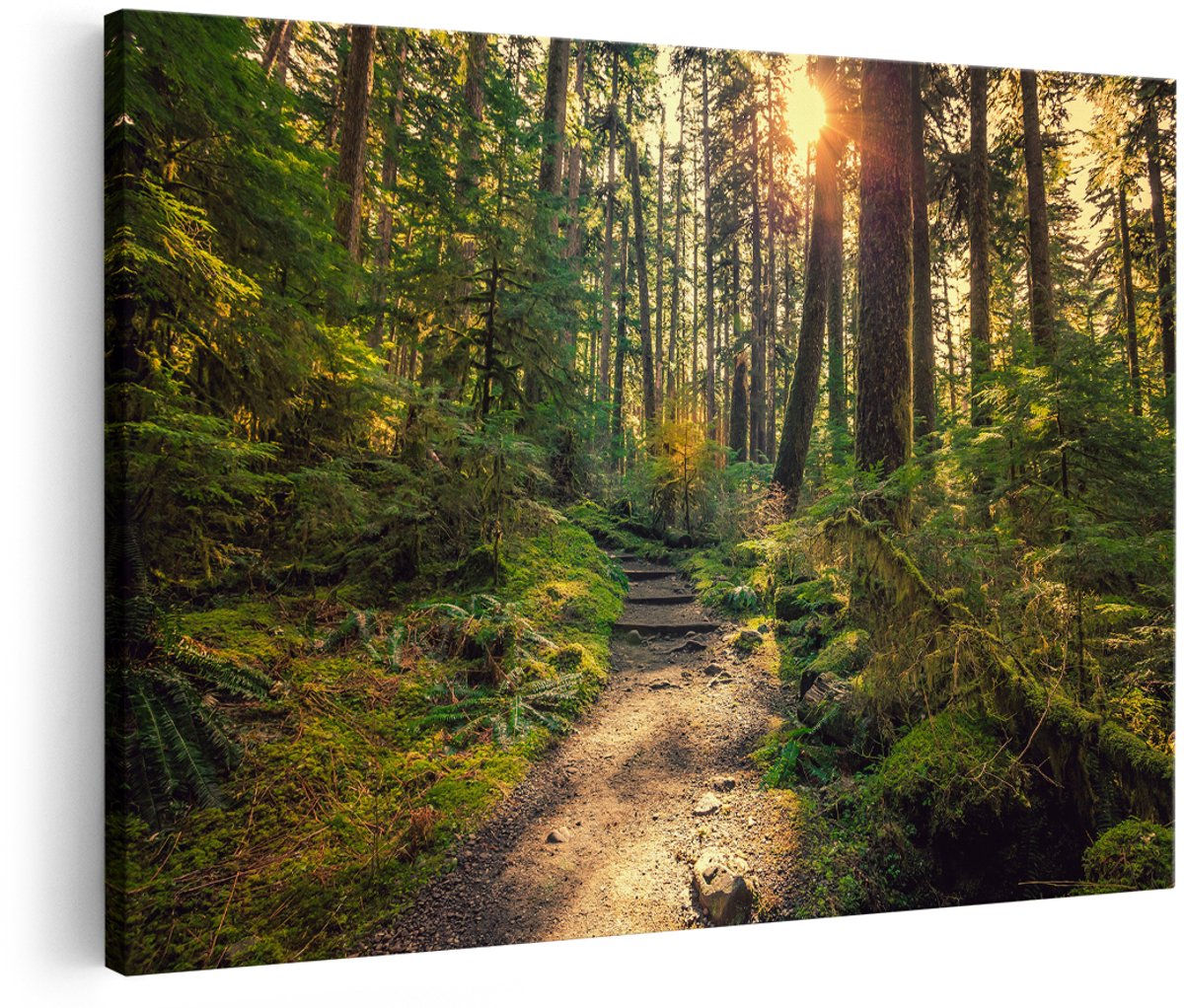 Artaza Canvas Schilderij Voetpad in het Bos - 180x120 cm - Groot - Foto Op Canvas - Wanddecoratie Woonkamer