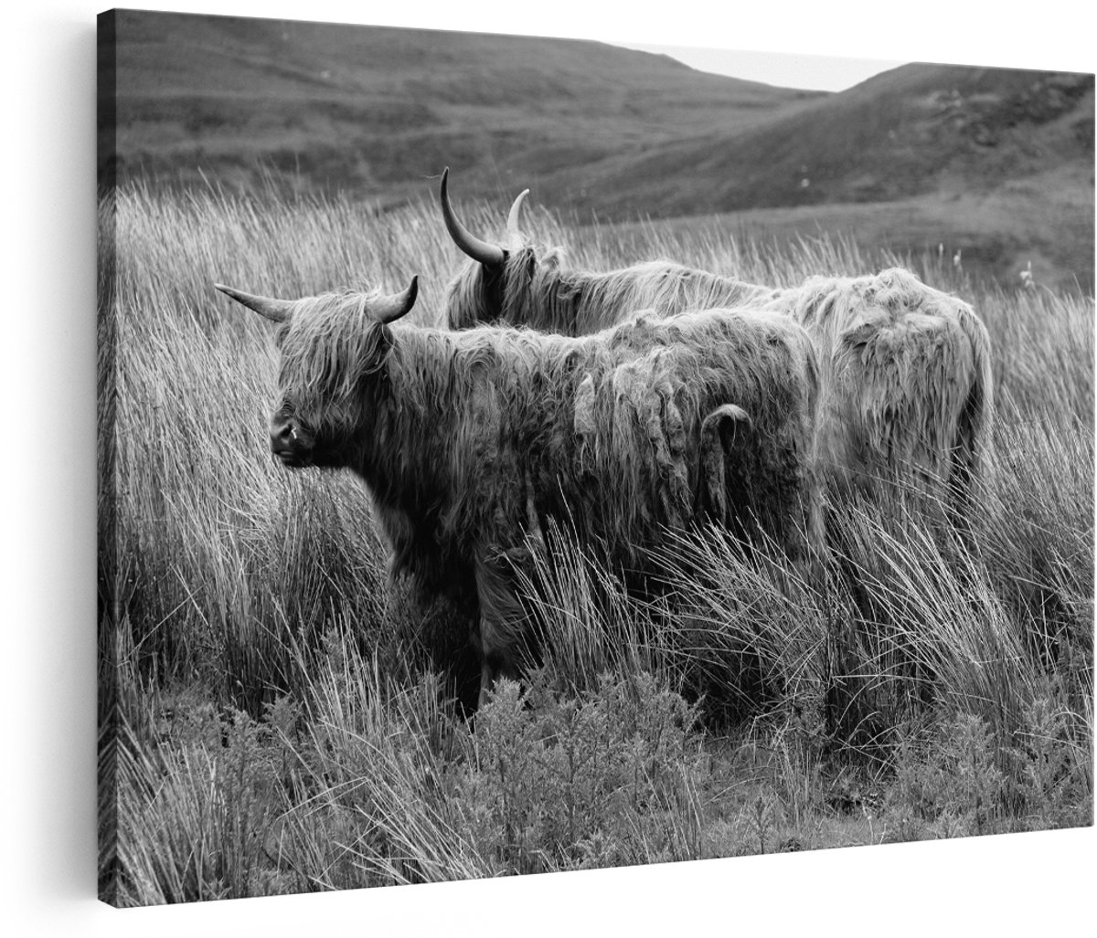 Artaza Canvas Schilderij Twee Schotse Hooglanders in het Heuvelvelachtige Veld - Zwart Wit - 180x120 cm - Groot - Foto Op Canvas - Wanddecoratie
