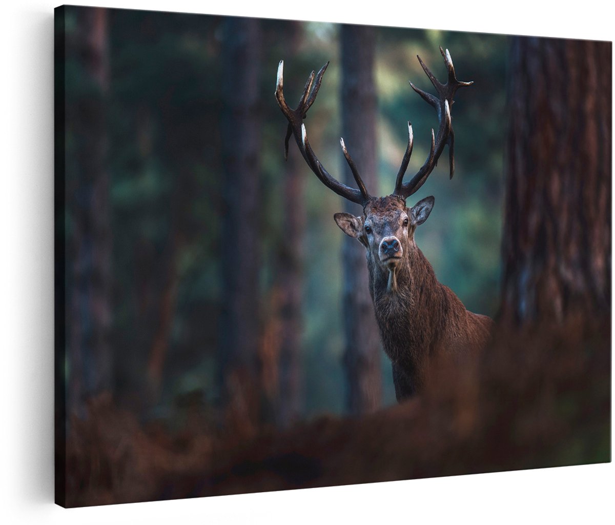 Artaza Canvas Schilderij Hert in het Bos van Dicthbij - 180x120 cm - Groot - Foto Op Canvas - Wanddecoratie Woonkamer
