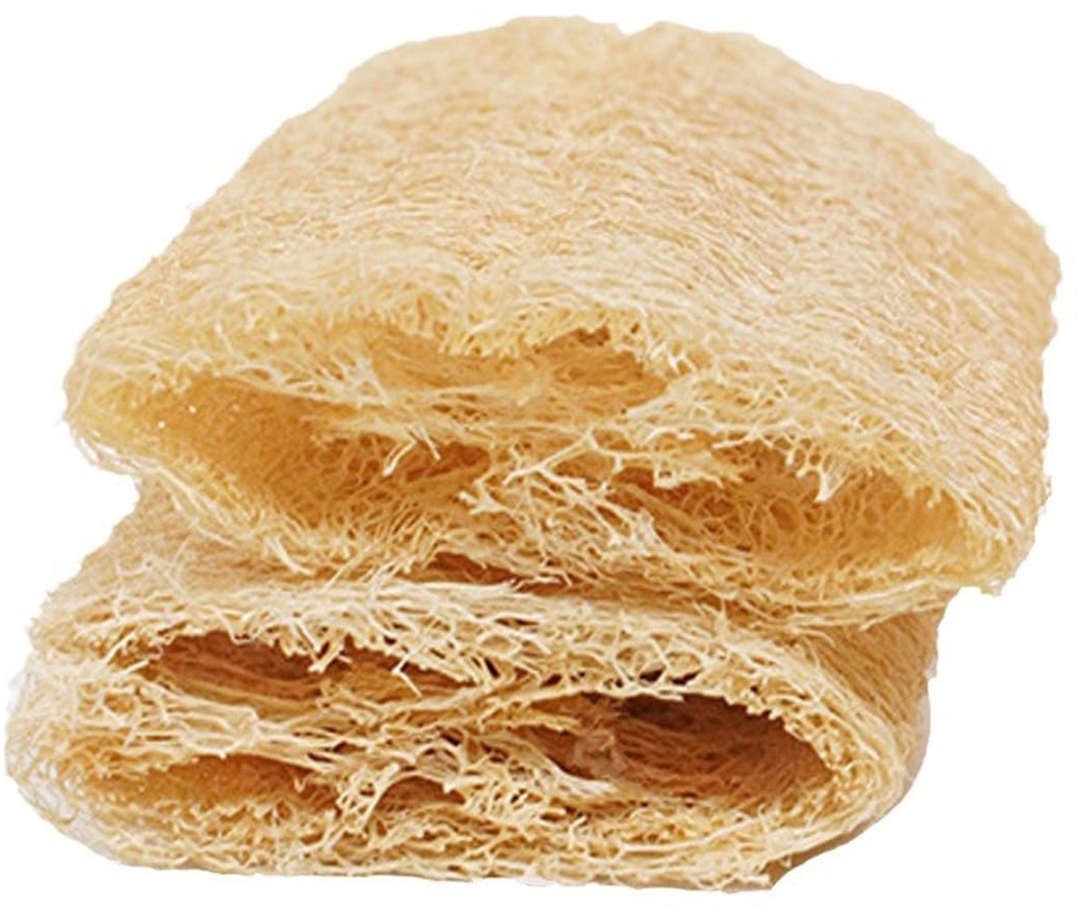Dailygoods - Set van 2 Natuurlijke Peeling Sponsjes voor Keuken en Badkamer - Biologisch Afbreekbaar