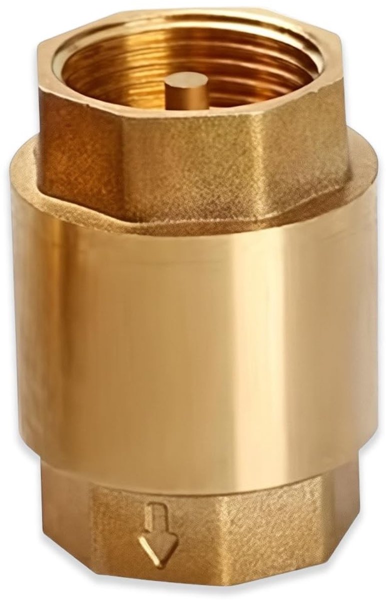 Dailygoods - 1 Inch Terugslagklep - Messing, Roestbestendig en Waterdicht