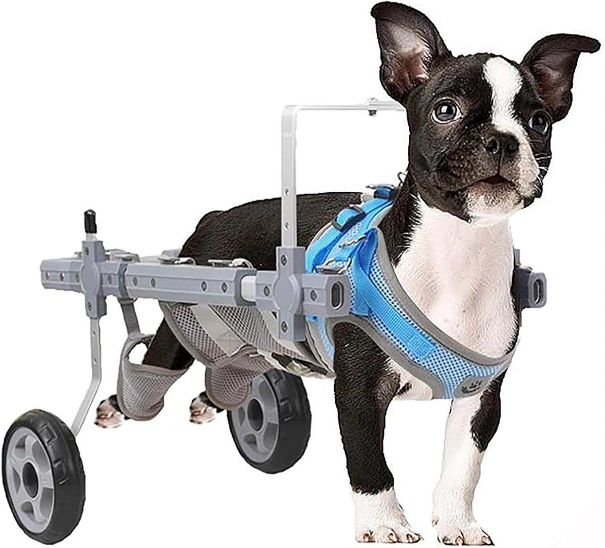 Hondenrolstoel - Mobiliteitshulpmiddel Hond - Huisdier Revalidatie - Verstelbaar Ontwerp - Maat XS - One Color