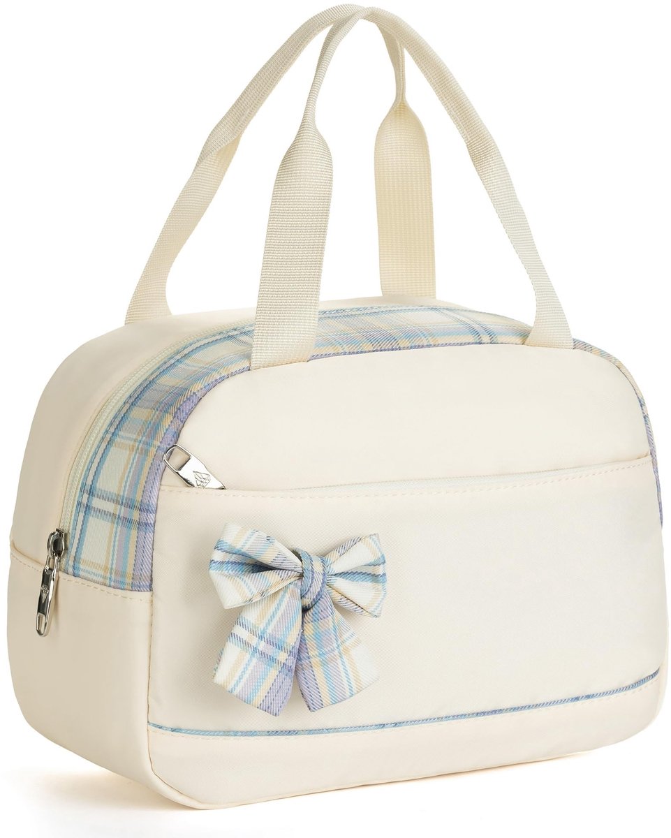Dailygoods - Herbruikbare Lunchtas voor Mannen en Vrouwen - Grote Koeltas voor Werk en Picknick