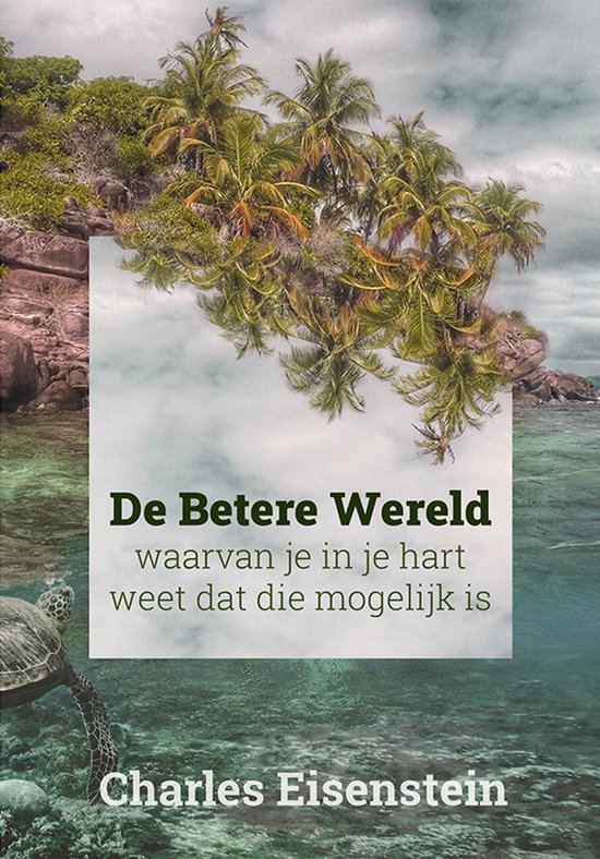Boekcover 'De Betere Wereld' met een tropisch eiland, palmbomen, een schildpad en de oceaan.